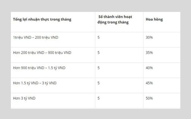 Hoa Hong Len Den 50 % Hang Thang Den Tu Nha Cai Fun88'